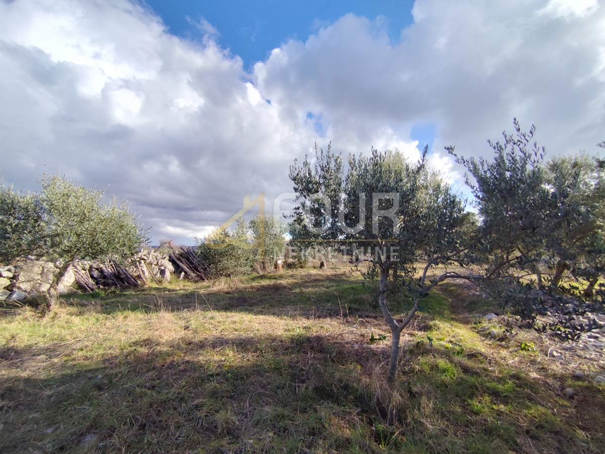 Porat, Malinska-Dubašnica, 3.464m2