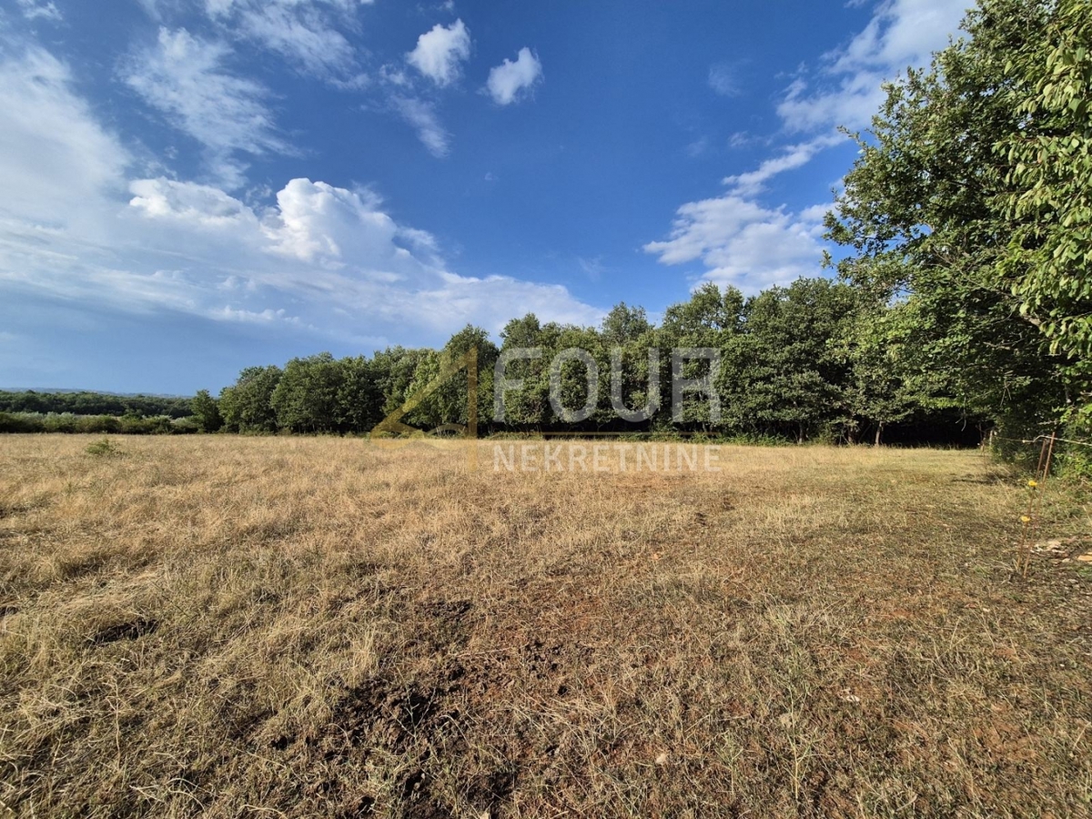 Kaštelir, Kaštelir-Labinci, 24.118m2