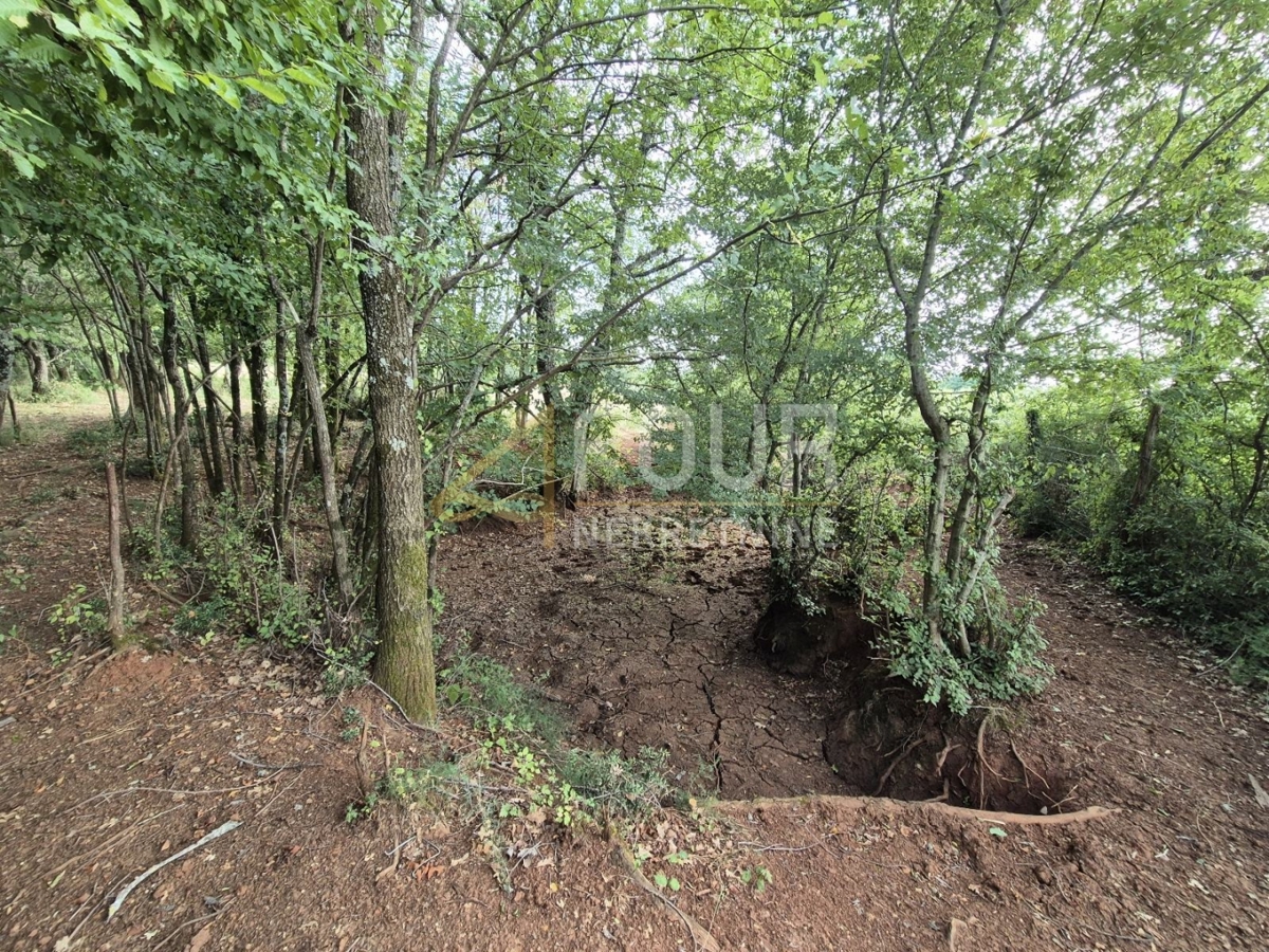 Kaštelir, Kaštelir-Labinci, 24.118m2