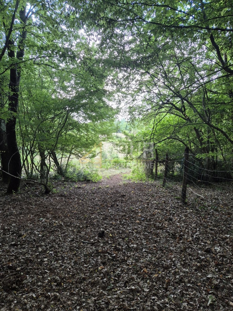 Kaštelir, Kaštelir-Labinci, 24.118m2