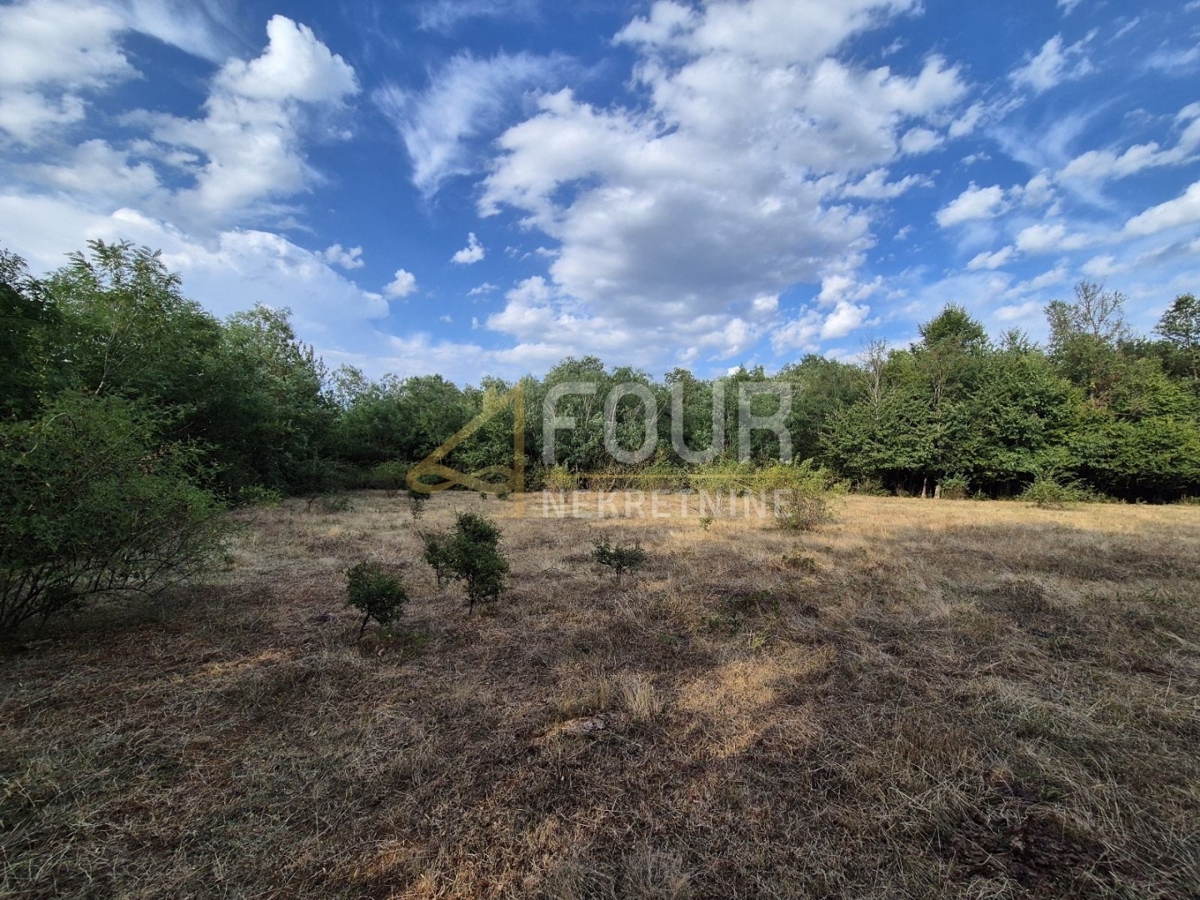 Kaštelir, Kaštelir-Labinci, 24.118m2