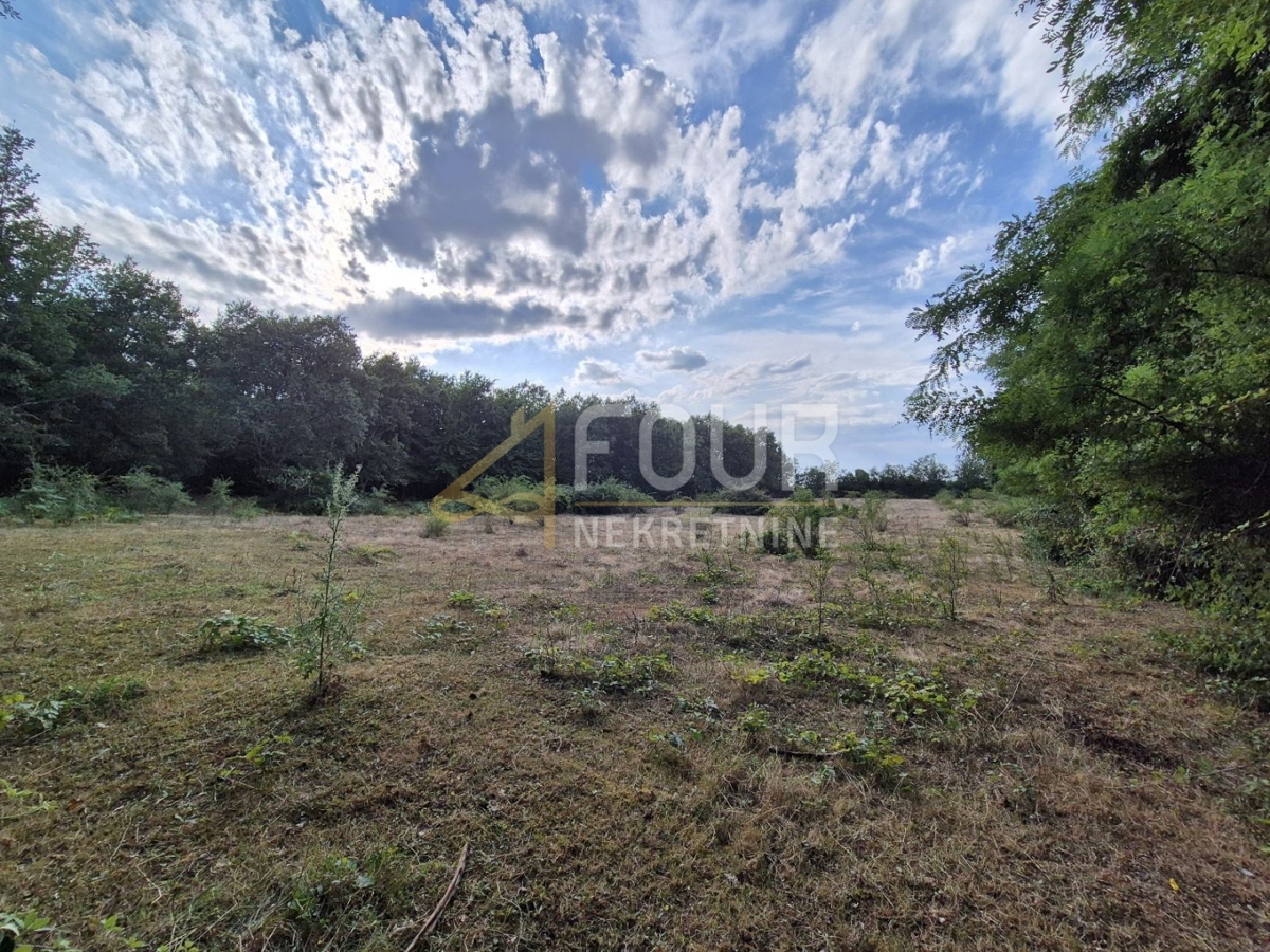 Kaštelir, Kaštelir-Labinci, 24.118m2