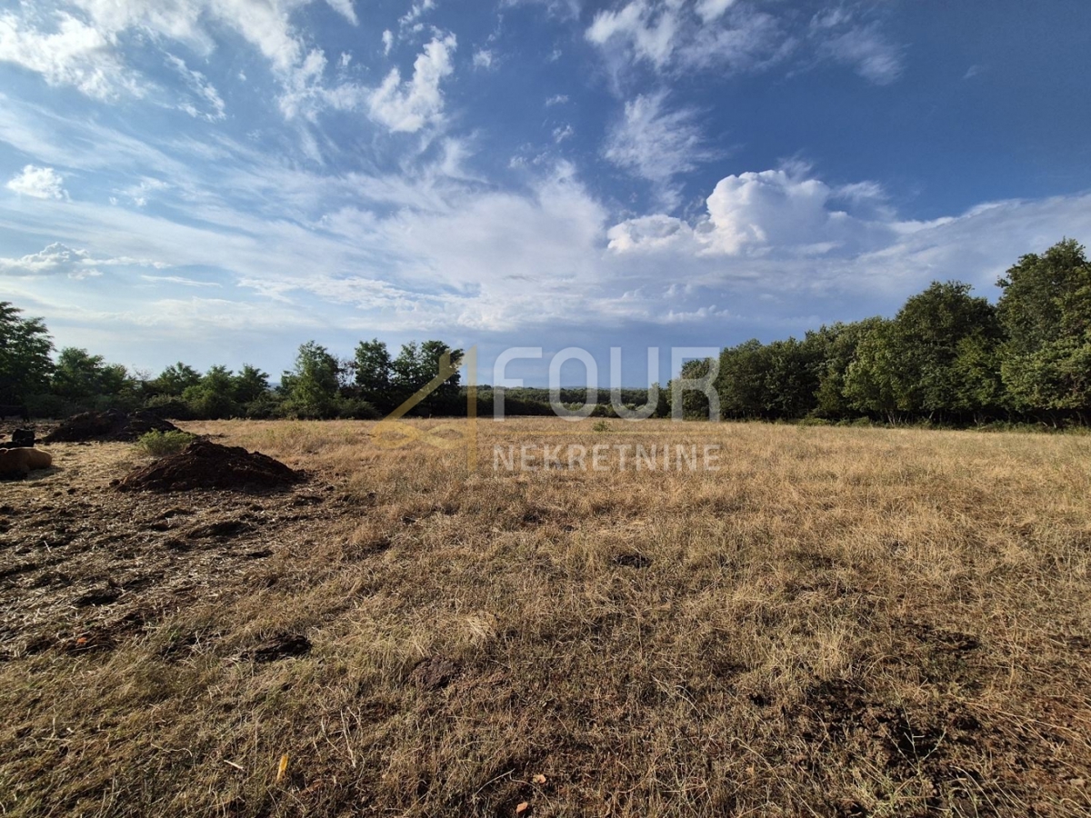 Kaštelir, Kaštelir-Labinci, 24.118m2