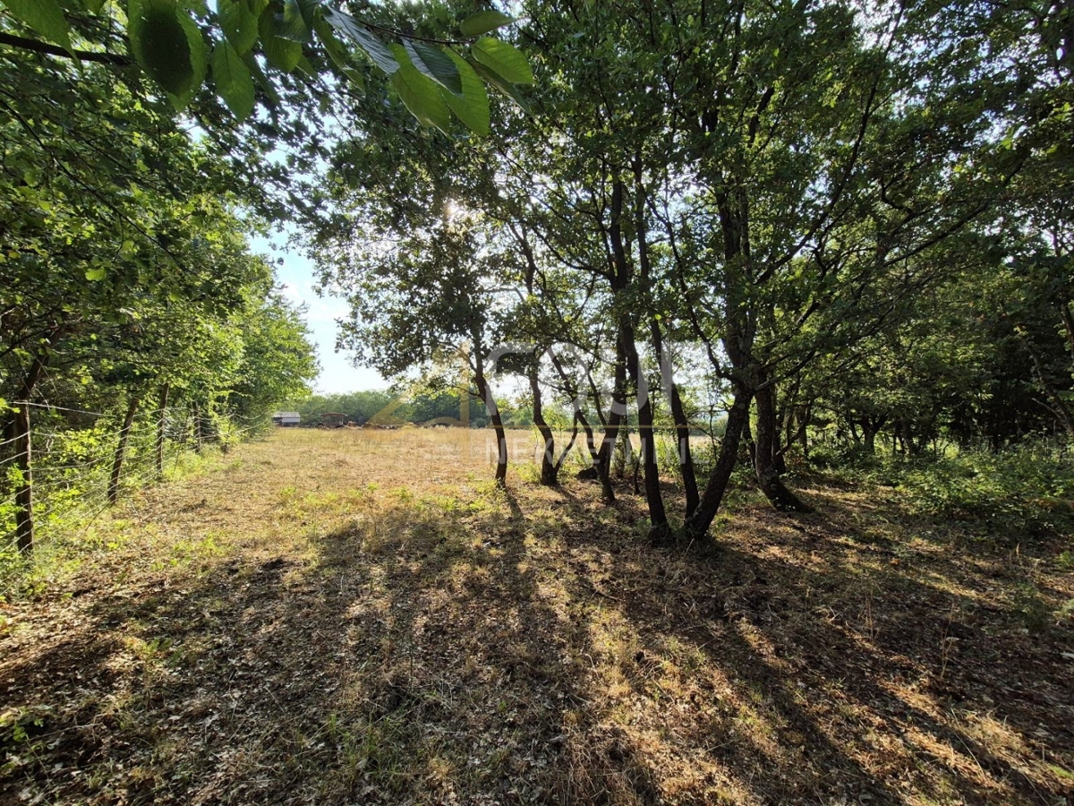 Kaštelir, Kaštelir-Labinci, 24.118m2