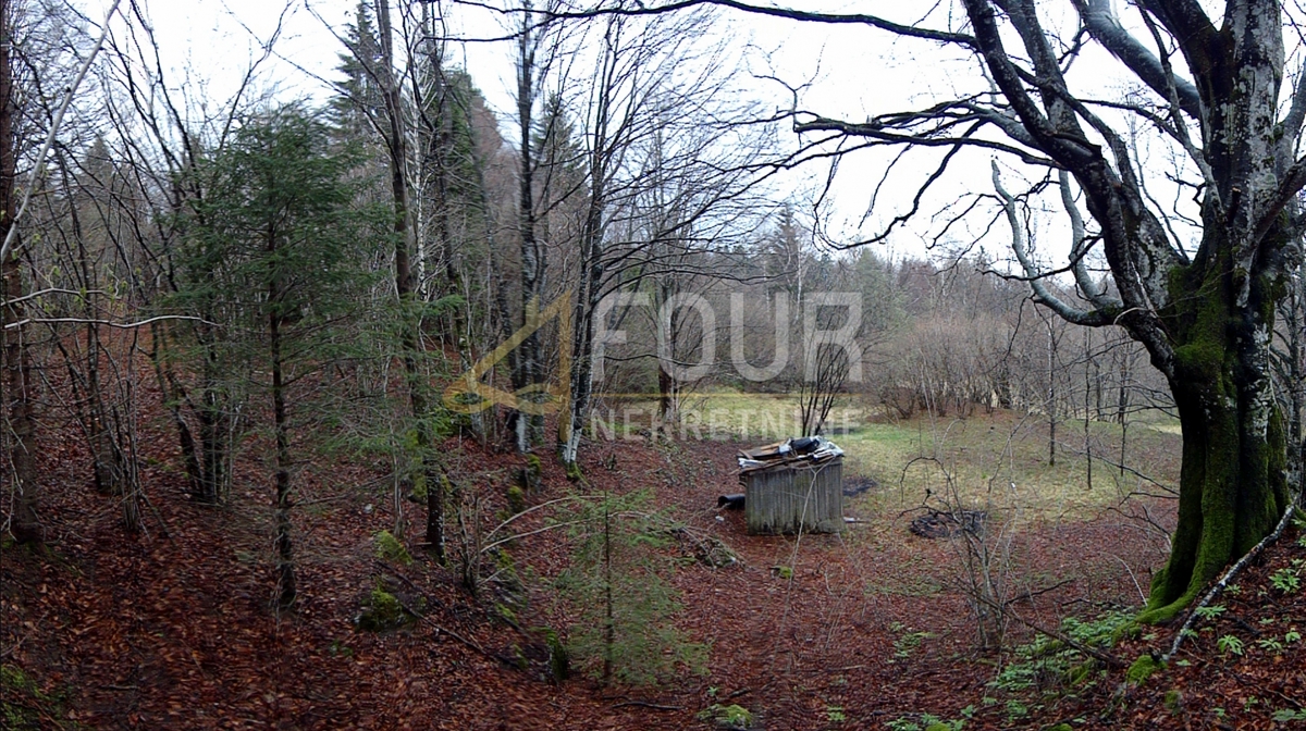 Crni Lug, Delnice, 2.005m2