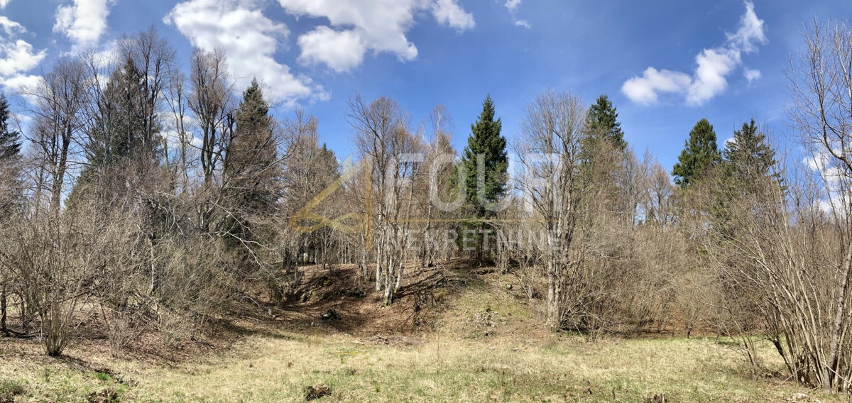 Crni Lug, Delnice, 2.005m2