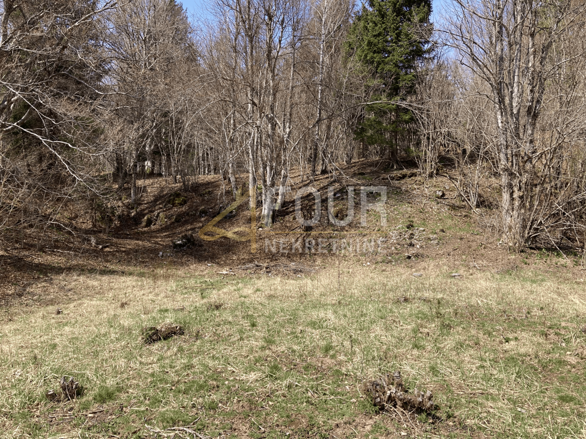 Crni Lug, Delnice, 2.005m2