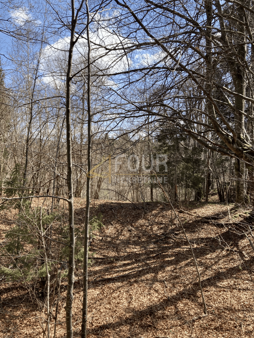 Crni Lug, Delnice, 2.005m2