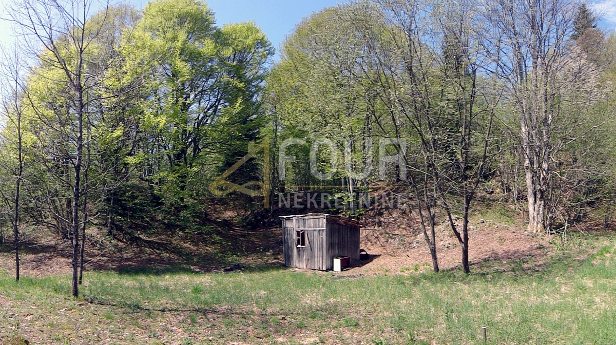 Crni Lug, Delnice, 2.005m2