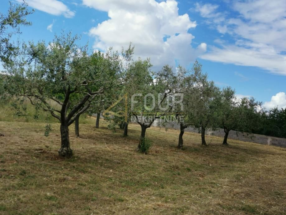 Barbariga, Vodnjan, 16m2