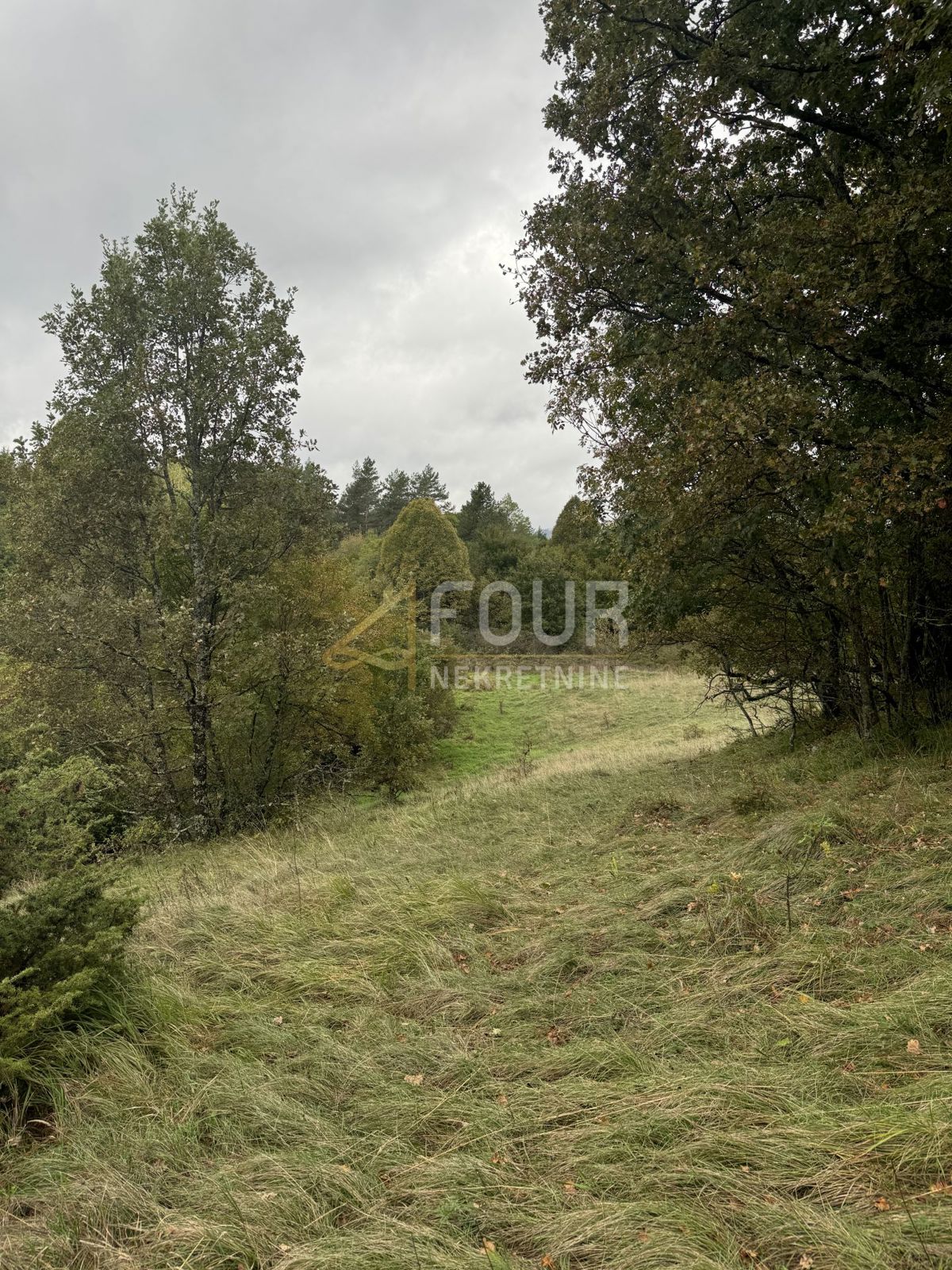 Rupa, Matulji, 5.021m2