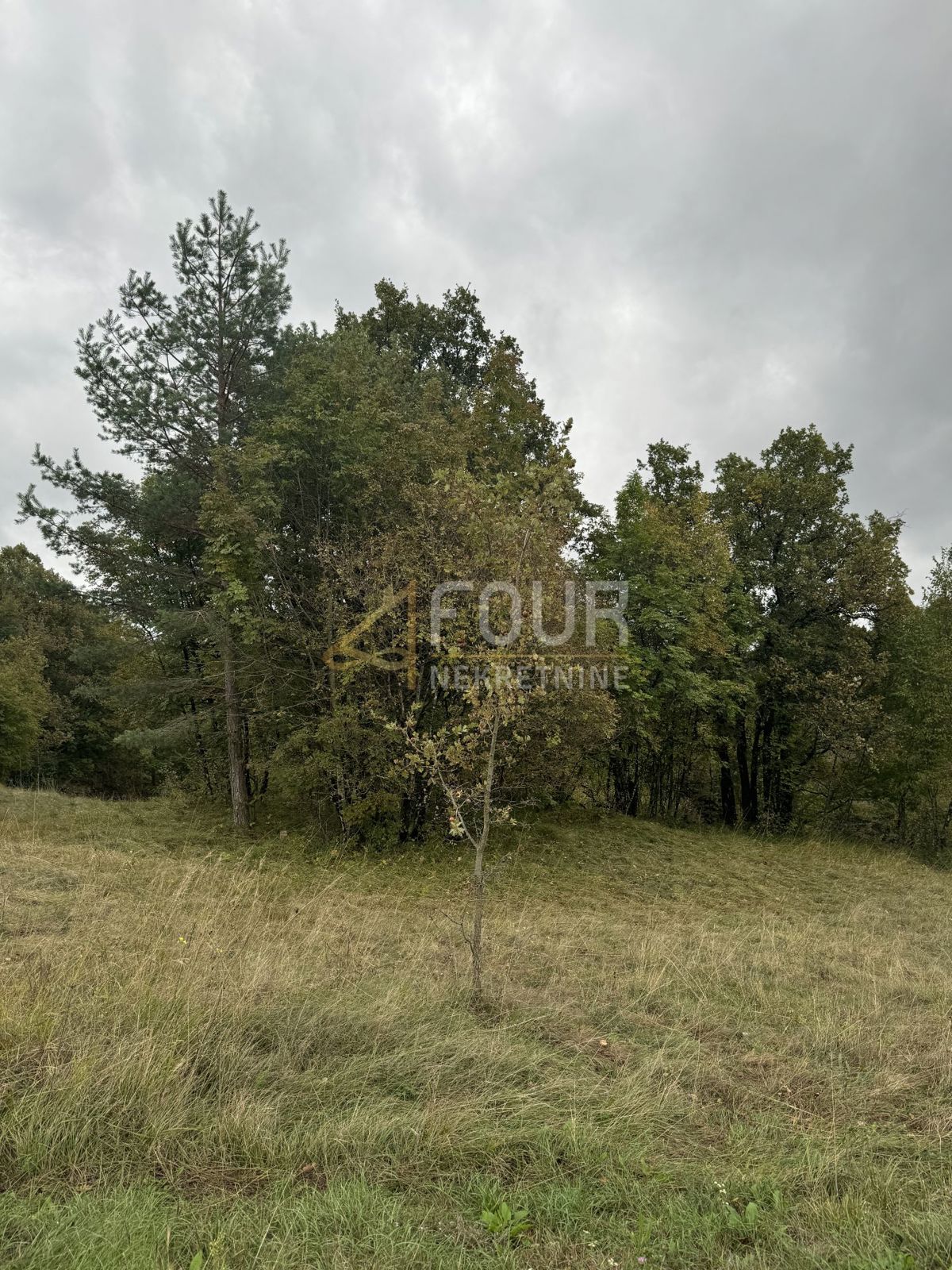 Rupa, Matulji, 5.021m2