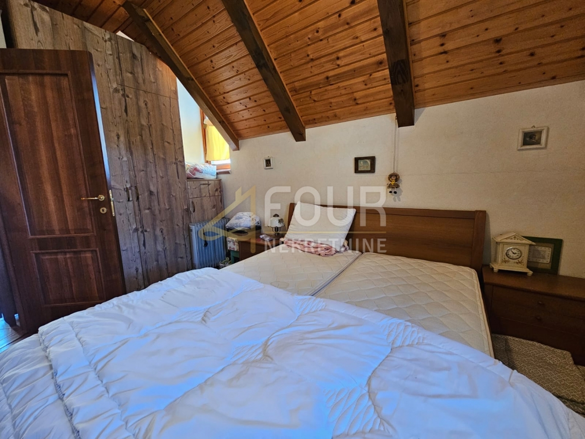 Stari Laz, Ravna Gora, 260m2