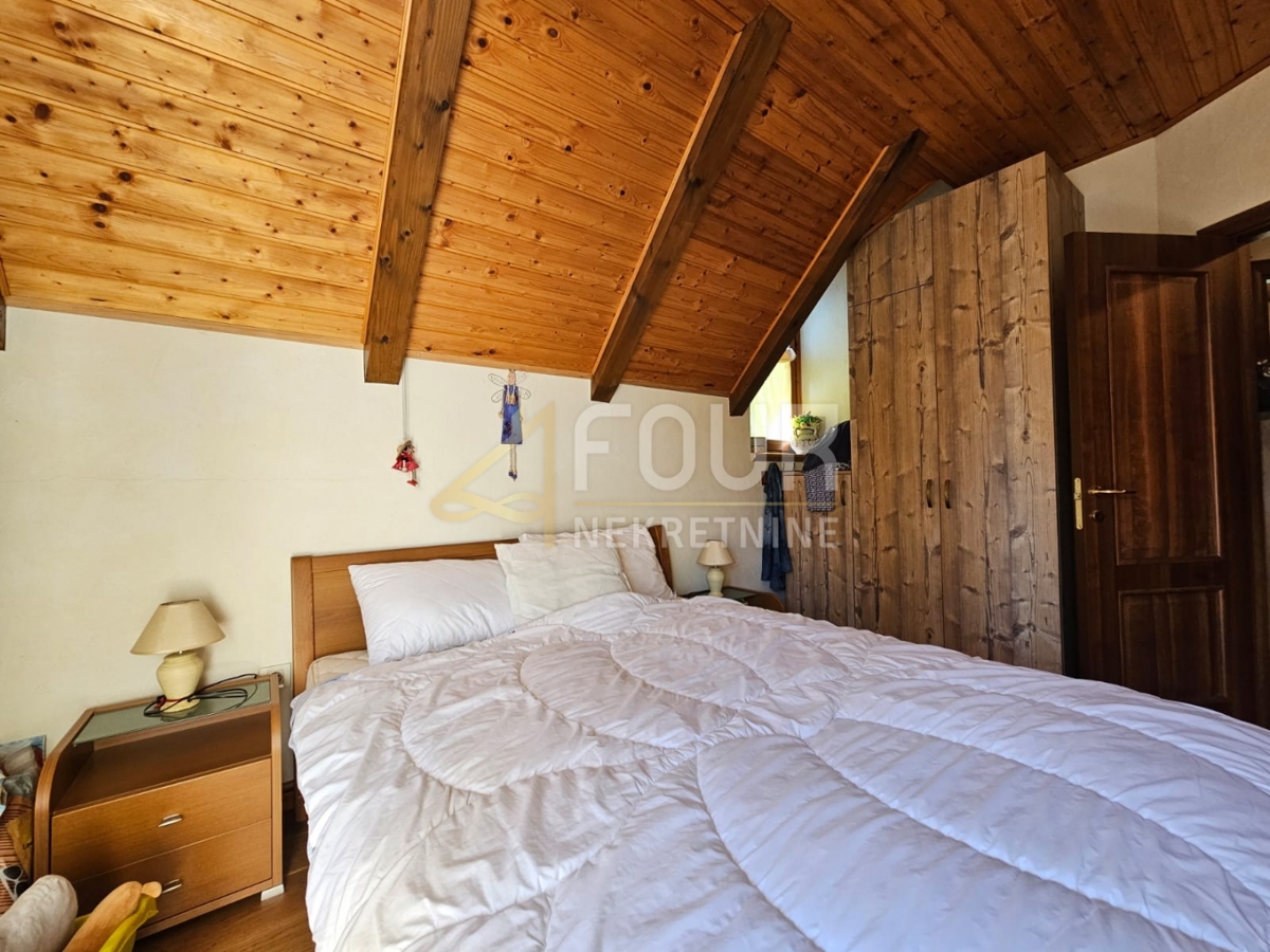 Stari Laz, Ravna Gora, 260m2