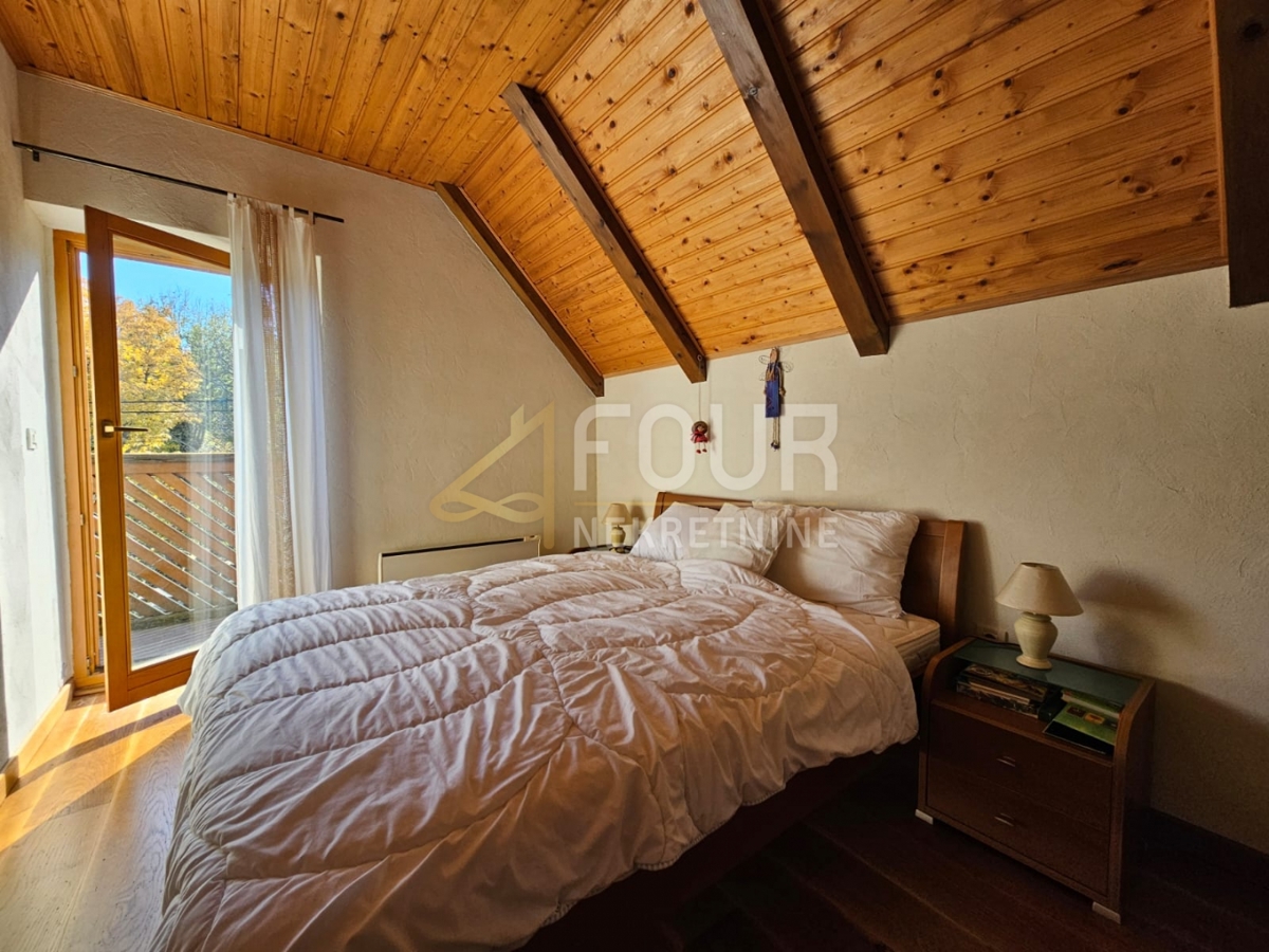 Stari Laz, Ravna Gora, 260m2