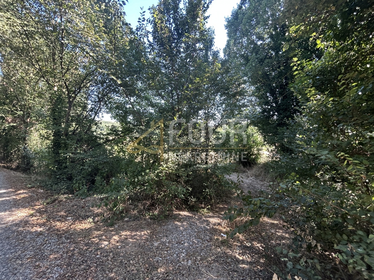 Vintijan, Medulin, 2.500m2