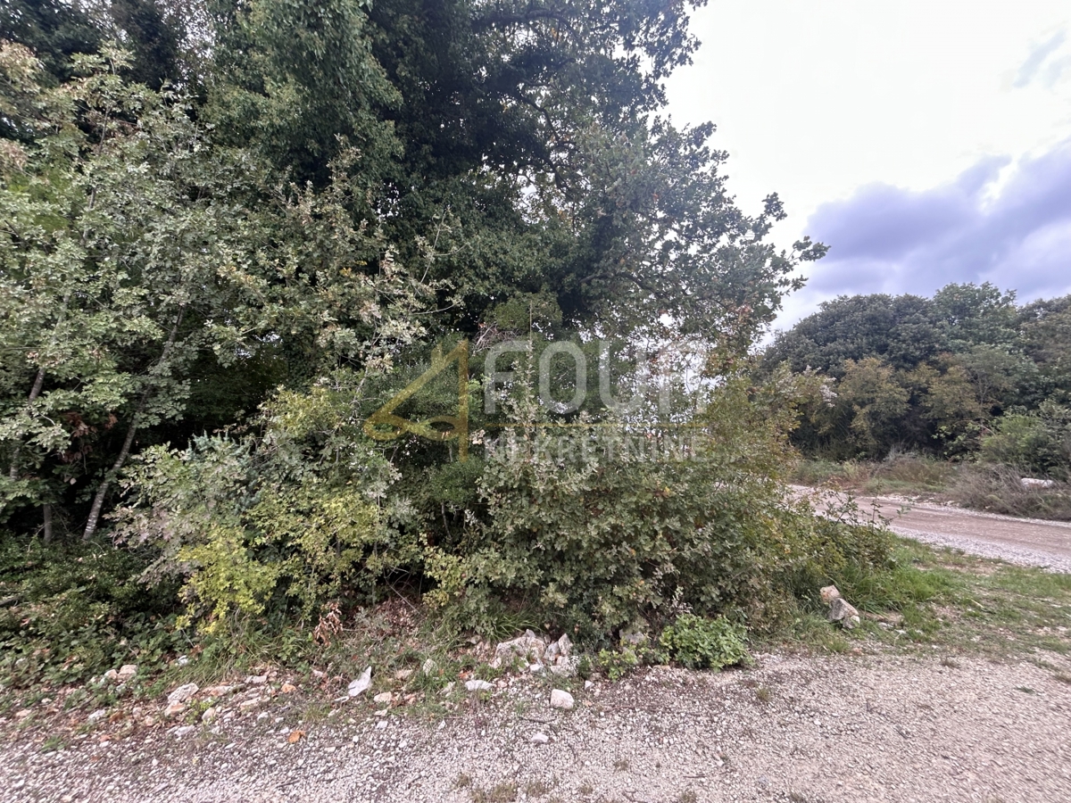 Valbandon, Fažana, 702m2