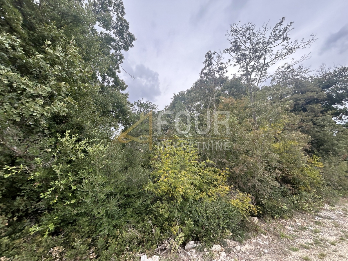 Valbandon, Fažana, 702m2