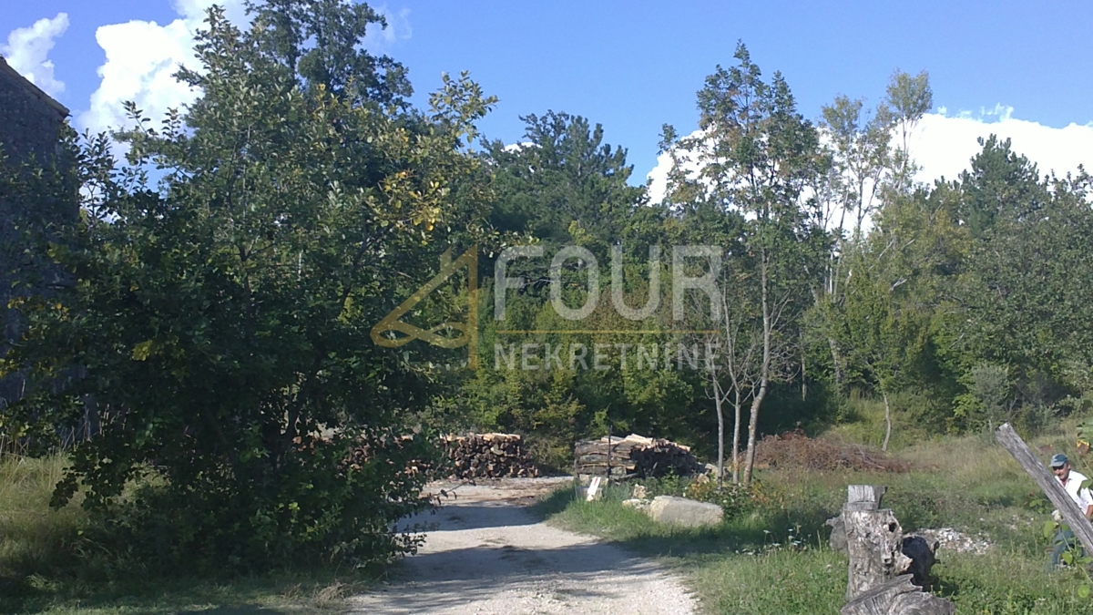 Hum, Buzet, 17.635m2