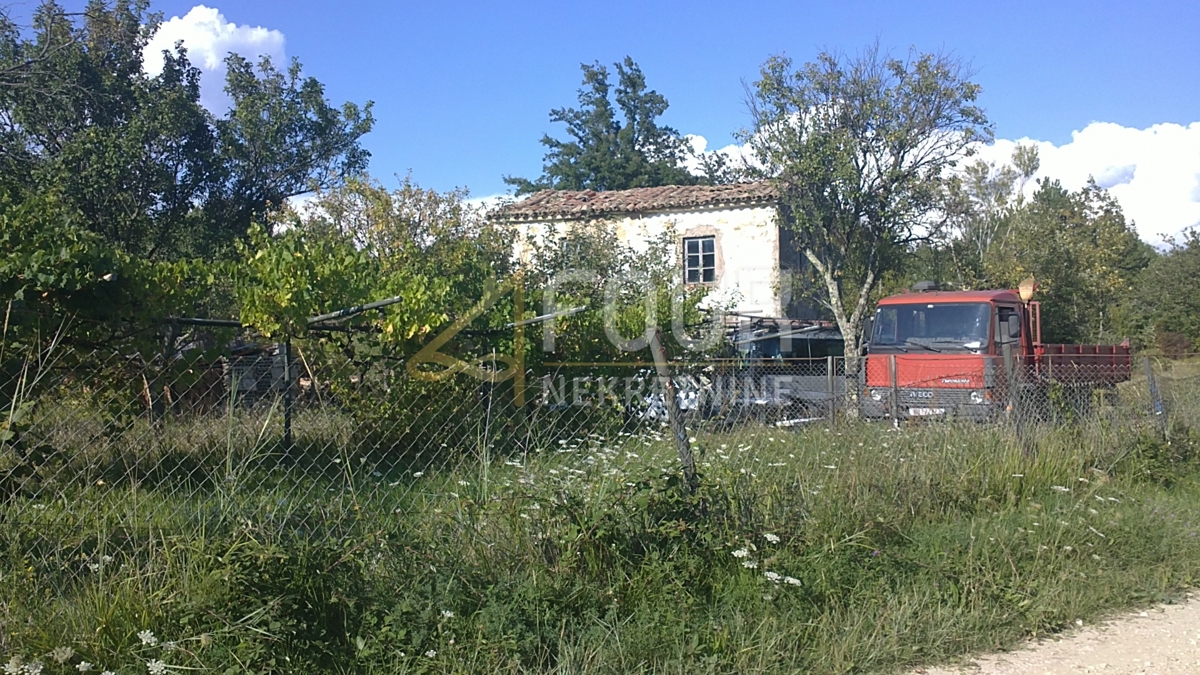 Hum, Buzet, 17.635m2