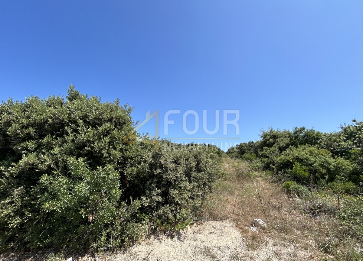 Mandre, Kolan, 20.302m2