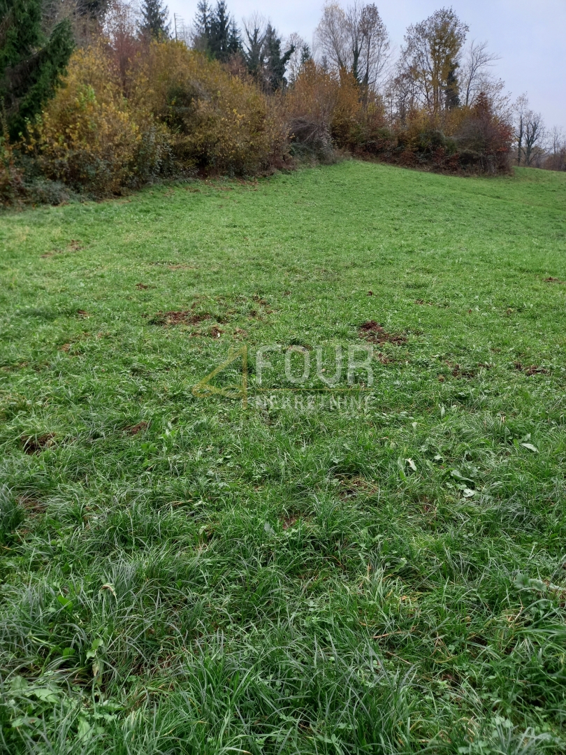 Bosiljevo, 100.581,31m2