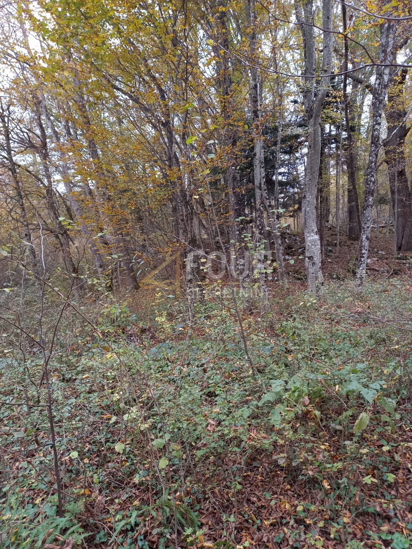 Bosiljevo, 100.581,31m2