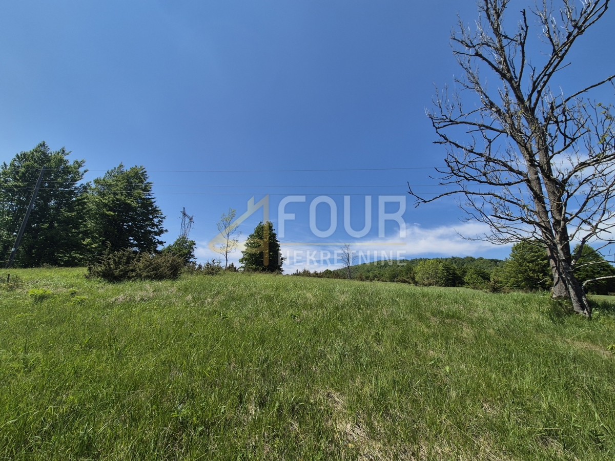 Stari Laz, Ravna Gora, 1.071m2