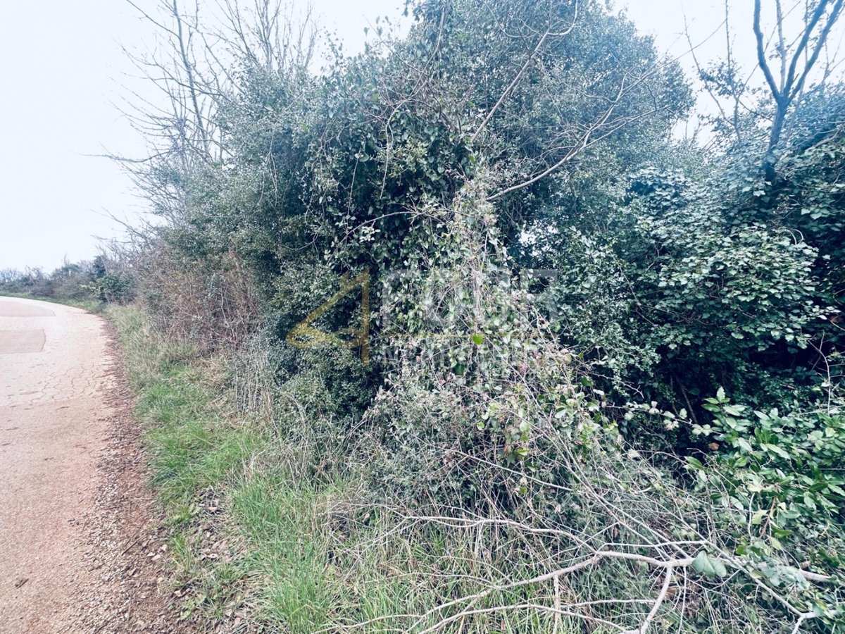 Istria, Liznjan, terreno agricolo, 1.899m2