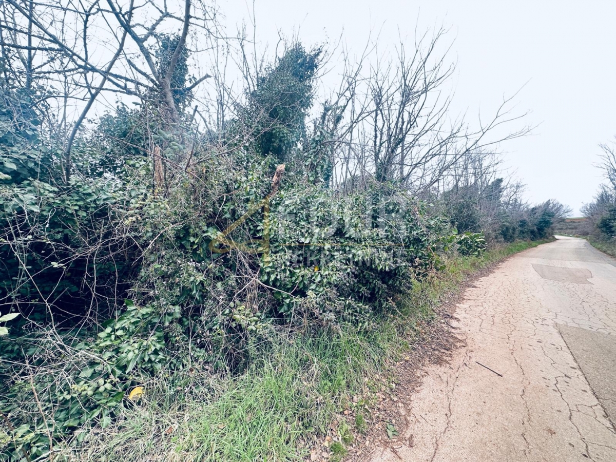 Istria, Liznjan, terreno agricolo, 1.899m2