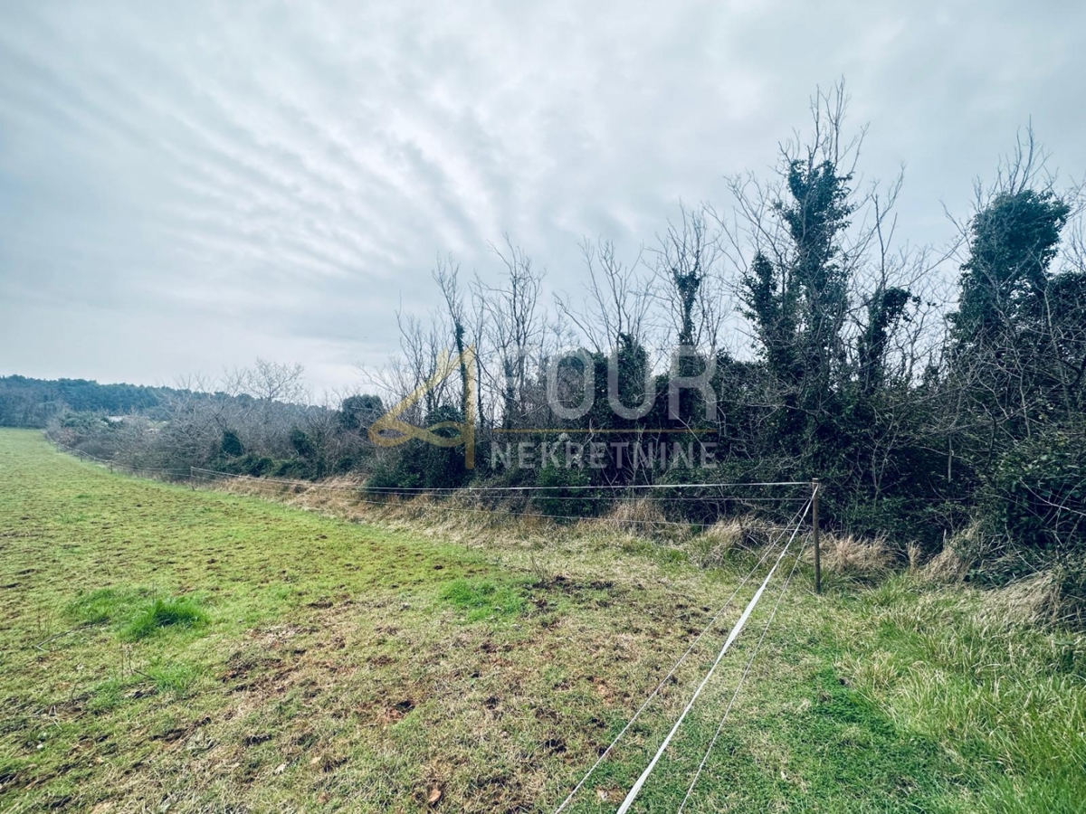 Istria, Liznjan, terreno agricolo, 1.899m2