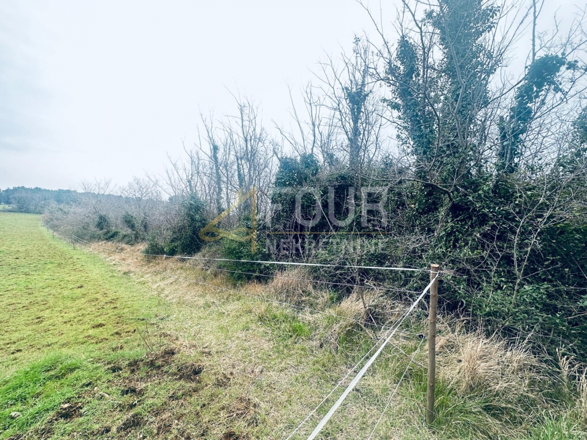 Istria, Liznjan, terreno agricolo, 1.899m2