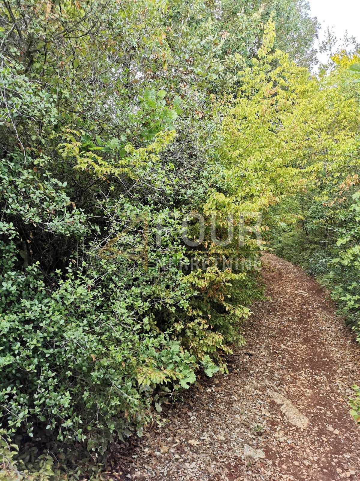 Valtura, Ližnjan, 7.137m2