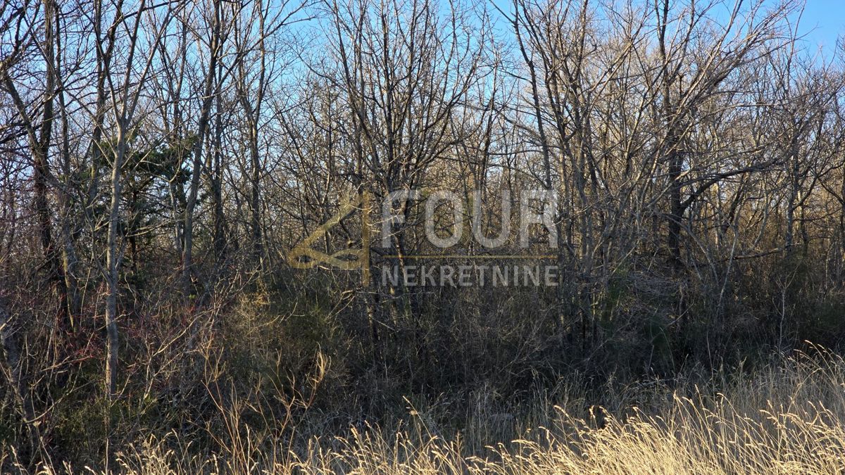 Kornić, Krk, 9.848m2