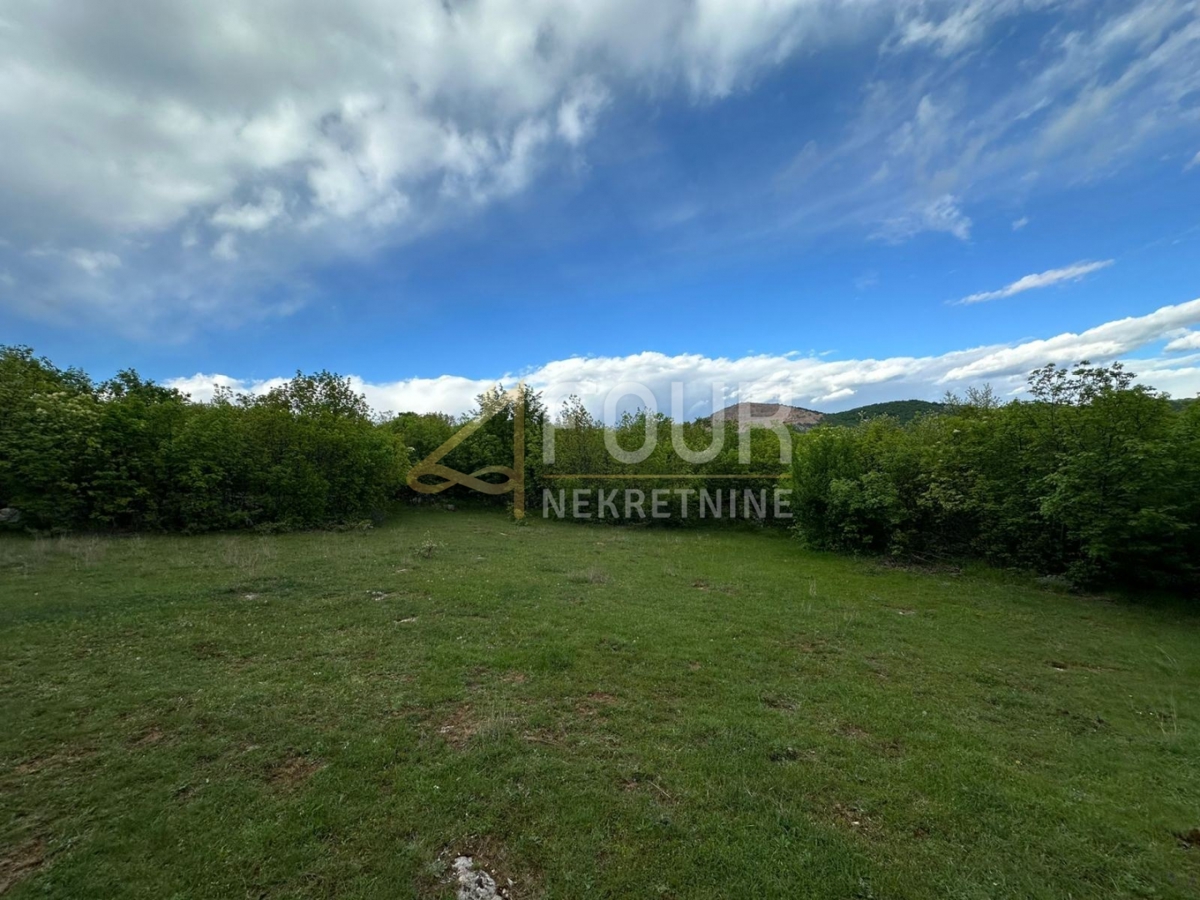 Cernik, Čavle, 8.292m2