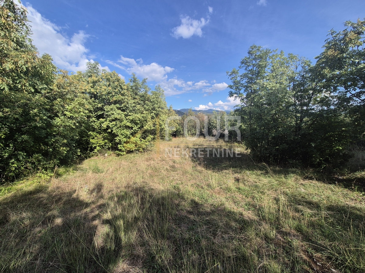 Cernik, Čavle, 8.292m2