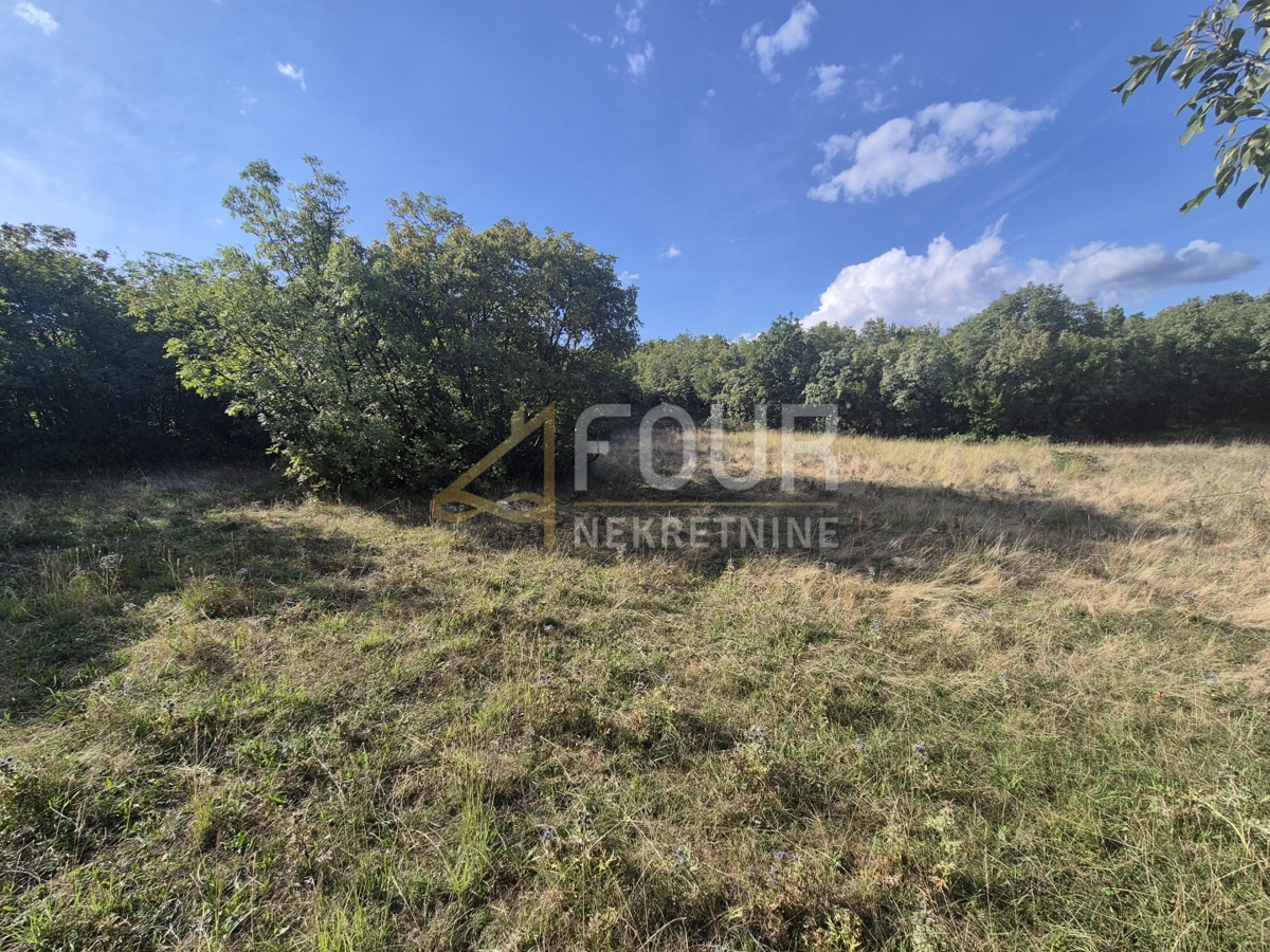 Cernik, Čavle, 8.292m2