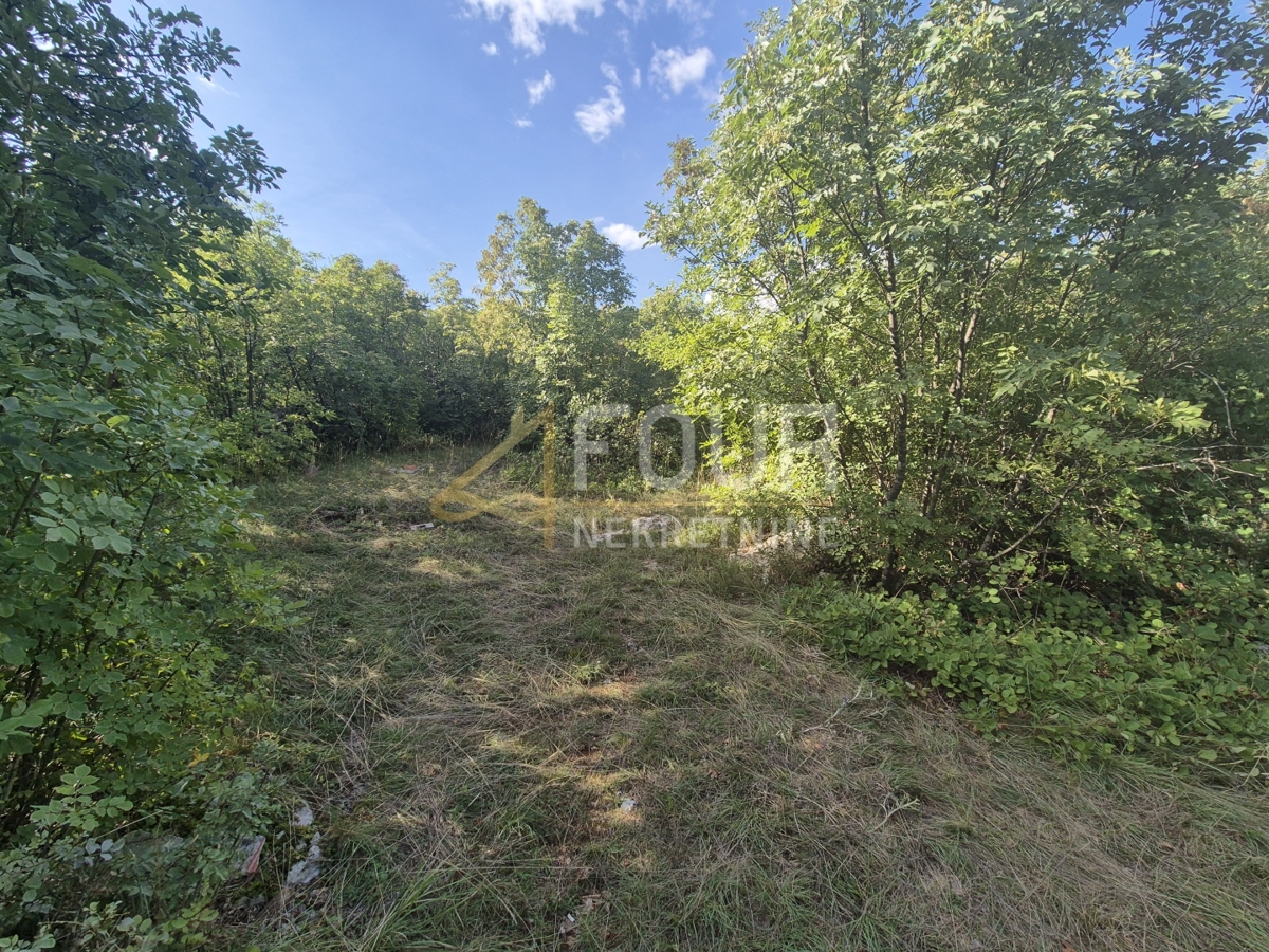 Cernik, Čavle, 8.292m2