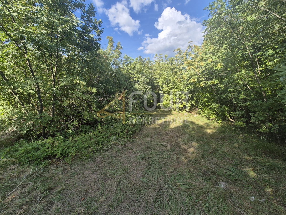 Cernik, Čavle, 8.292m2