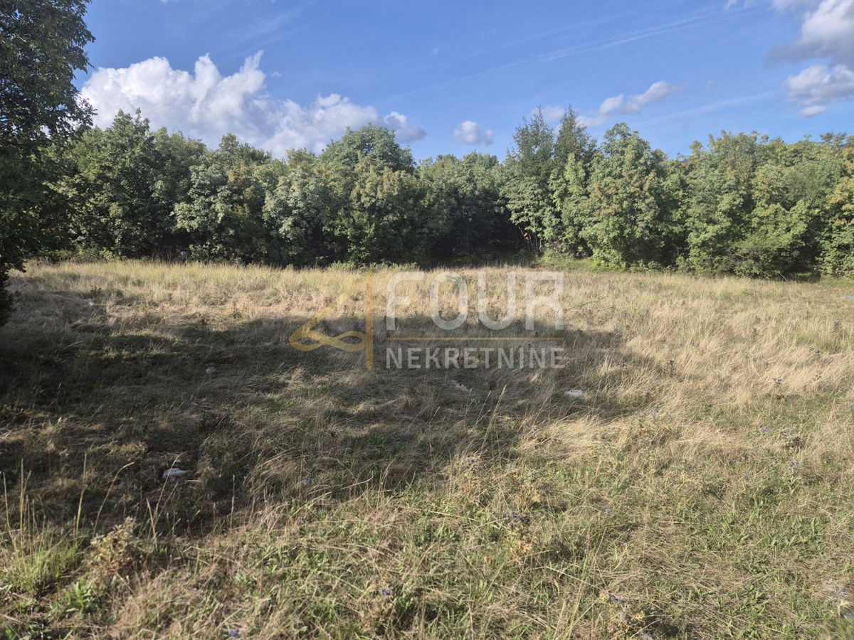 Cernik, Čavle, 8.292m2