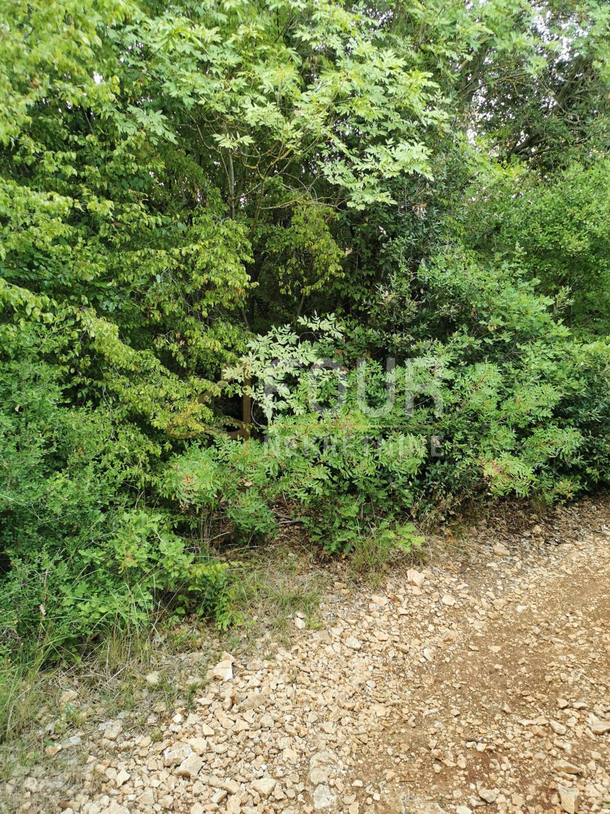 Valtura, Ližnjan, 13.248m2