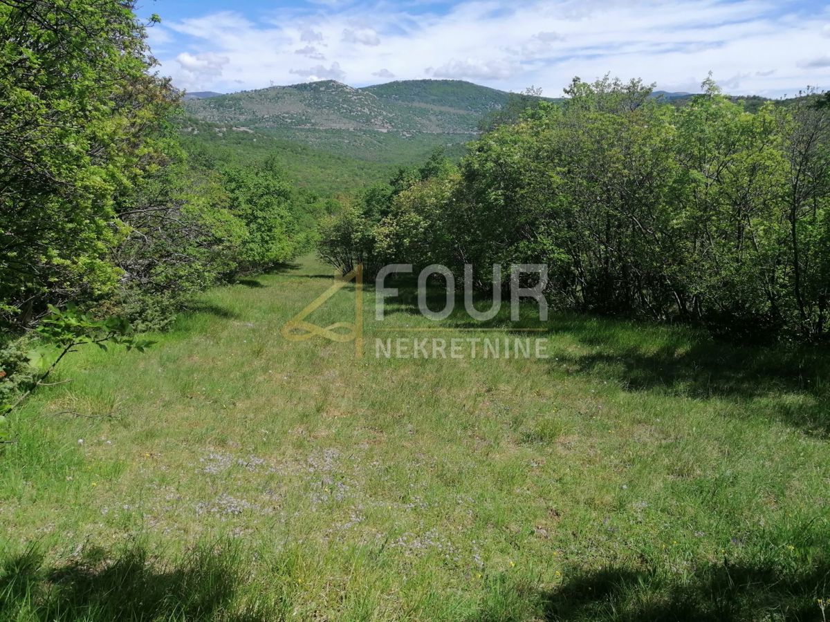 Škrljevo, Bakar, 9.925m2