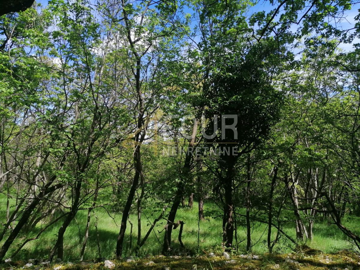 Škrljevo, Bakar, 9.925m2