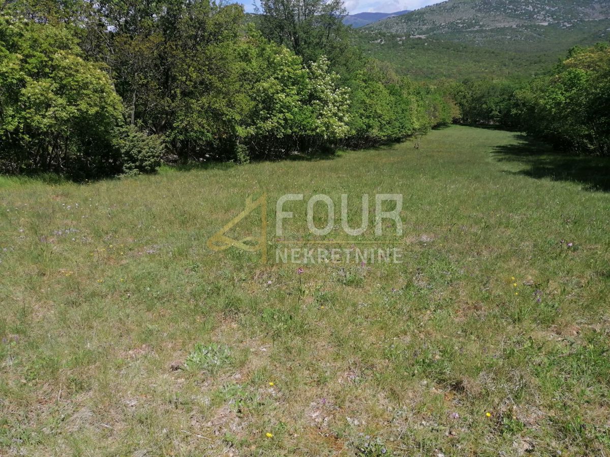 Škrljevo, Bakar, 9.925m2