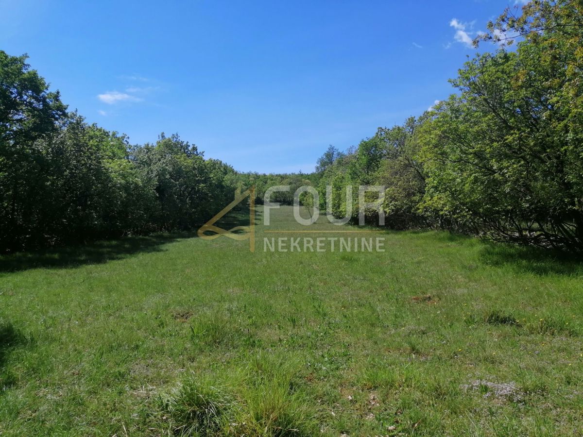 Škrljevo, Bakar, 9.925m2