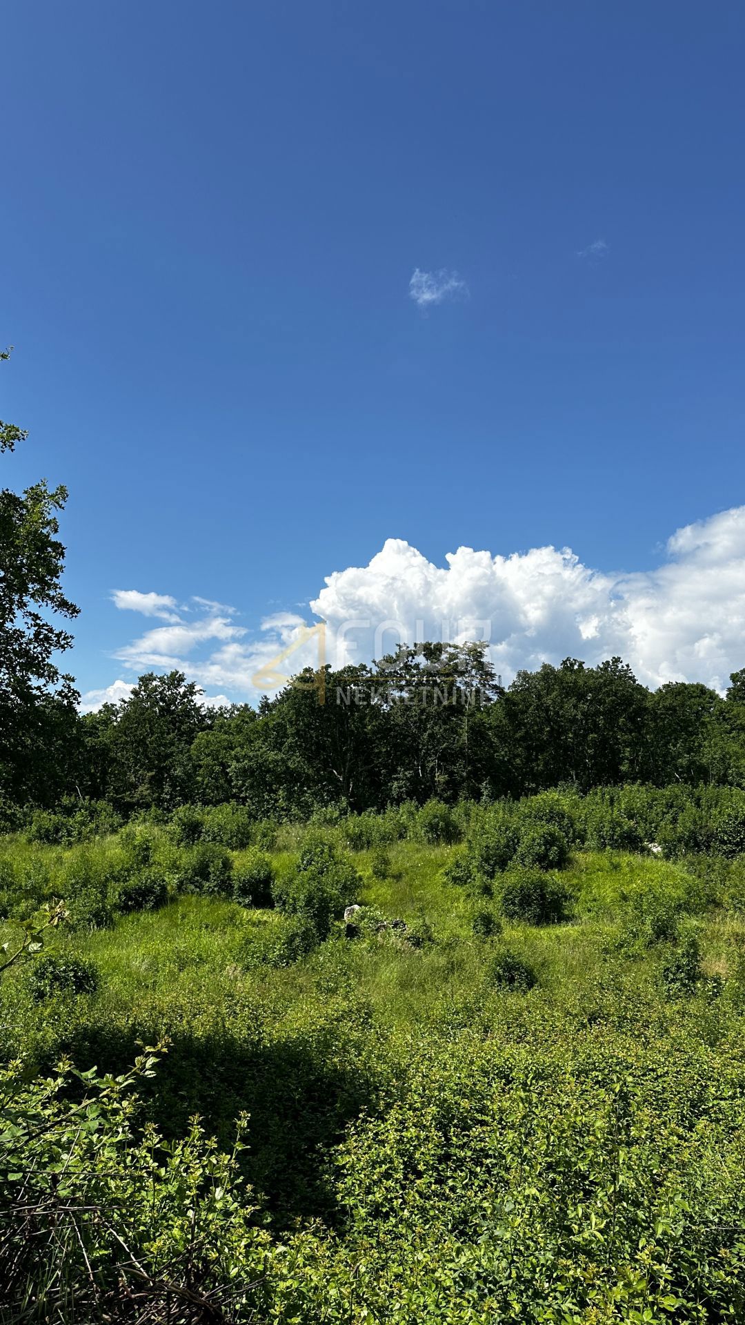 Drenova, Rijeka, 1.276m2