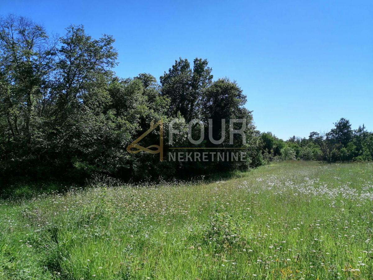 Sveti Lovreč, 77.469m2