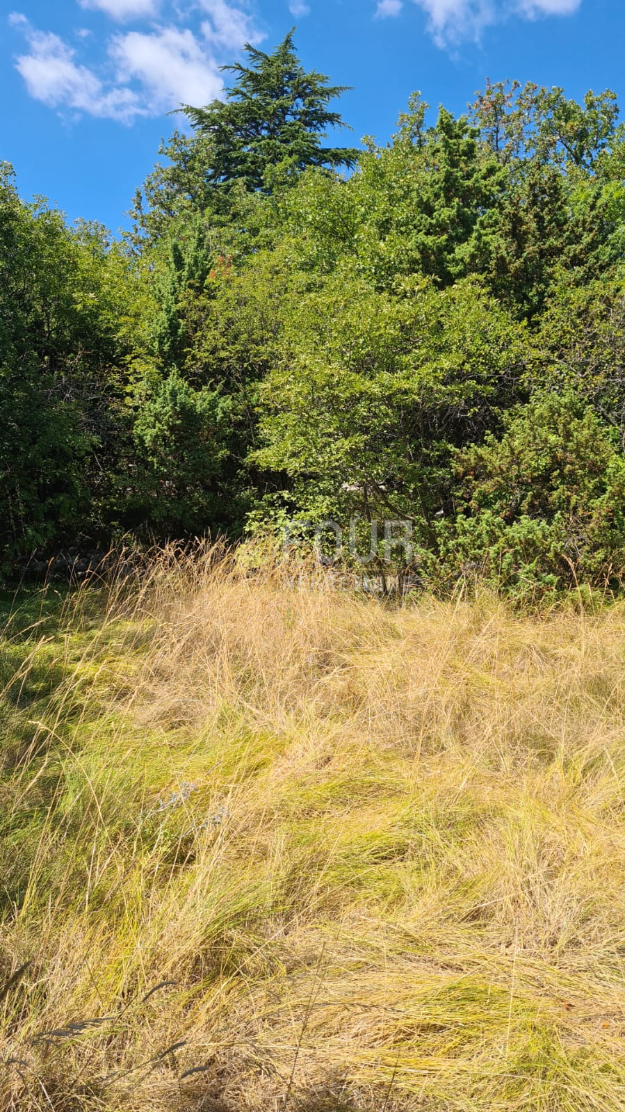 Mošćenička Draga, 525m2