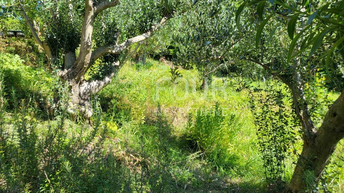 Rtina, Ražanac, 60m2