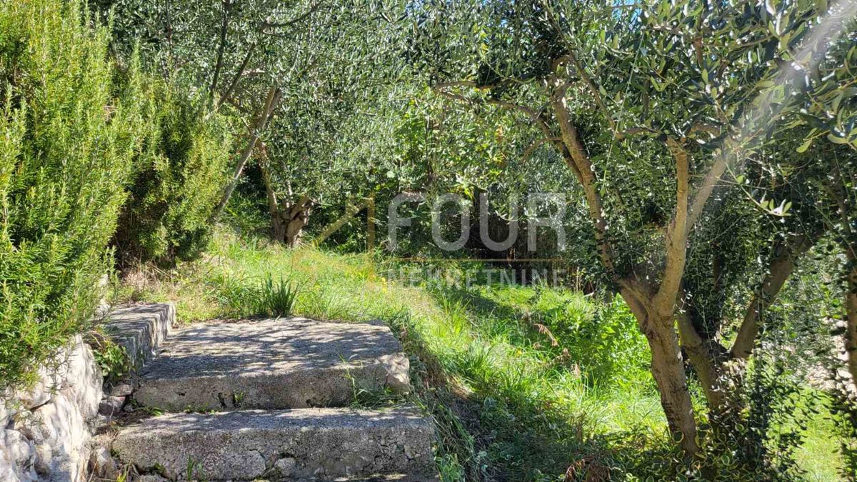 Rtina, Ražanac, 60m2